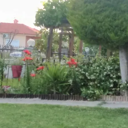 Relaxing In A Cozy House With Garden