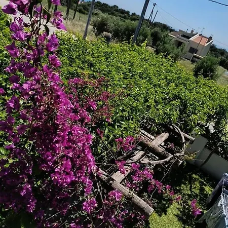 Relaxing In A Cozy House With Garden *