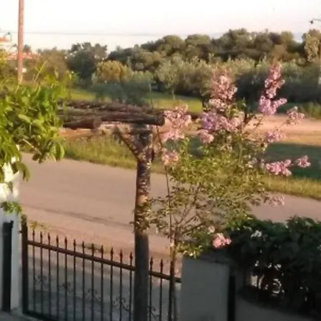 Relaxing In A Cozy House With Garden *